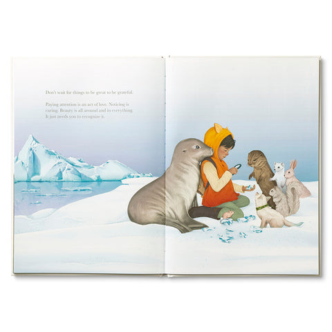 Why Not?  - Kids Book - Compendium Books