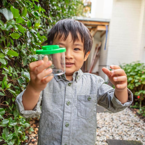 Bug Spotter Kit - Tiger Tribe