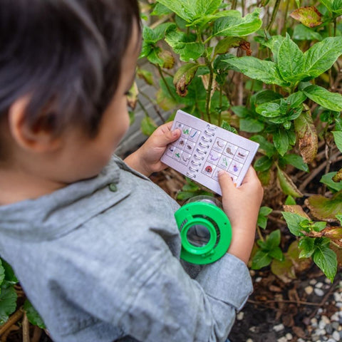 Bug Spotter Kit - Tiger Tribe