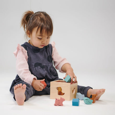 Bambino Shape Sorting Cube - Mentari