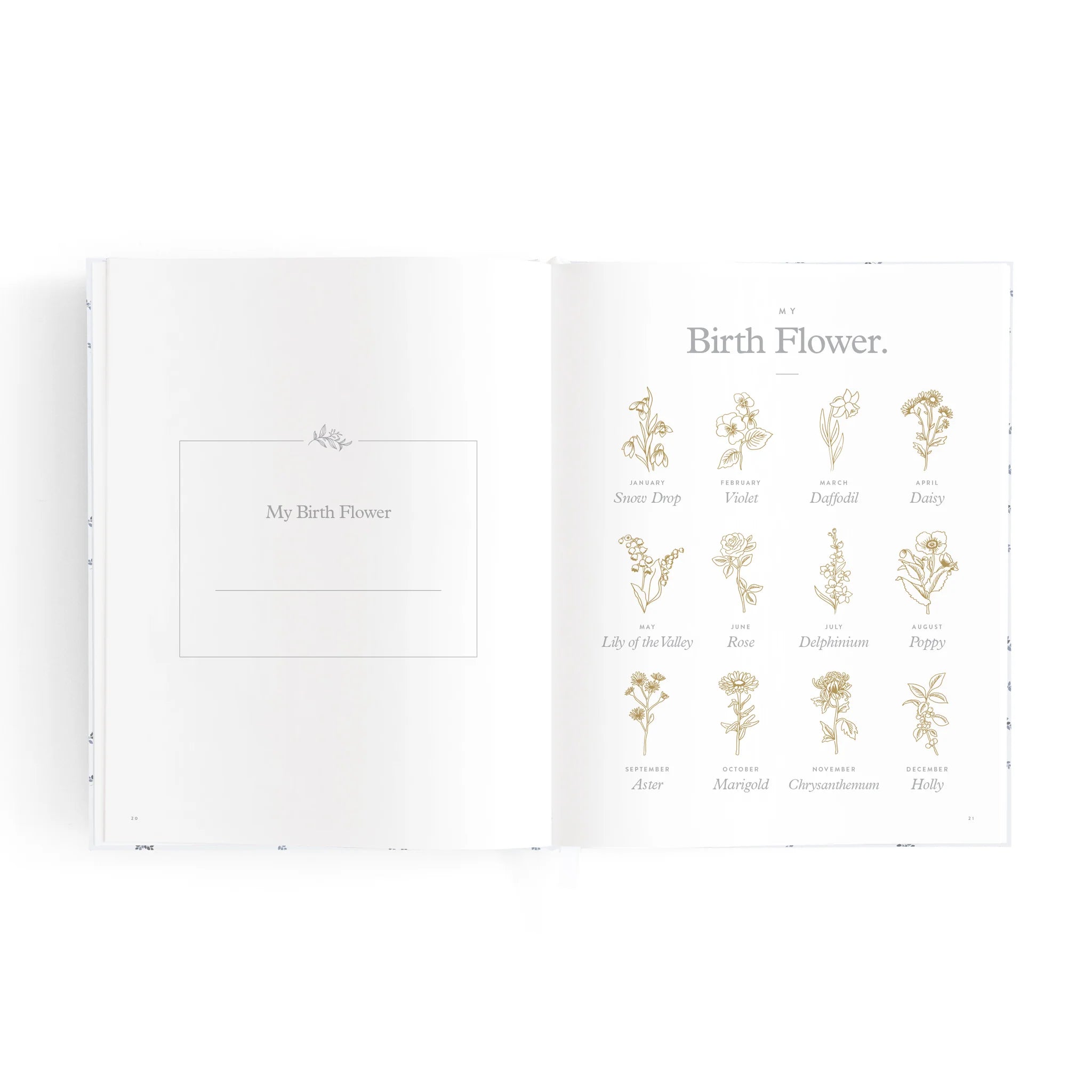 Mini Baby Book Bluebell - Fox & Fallow