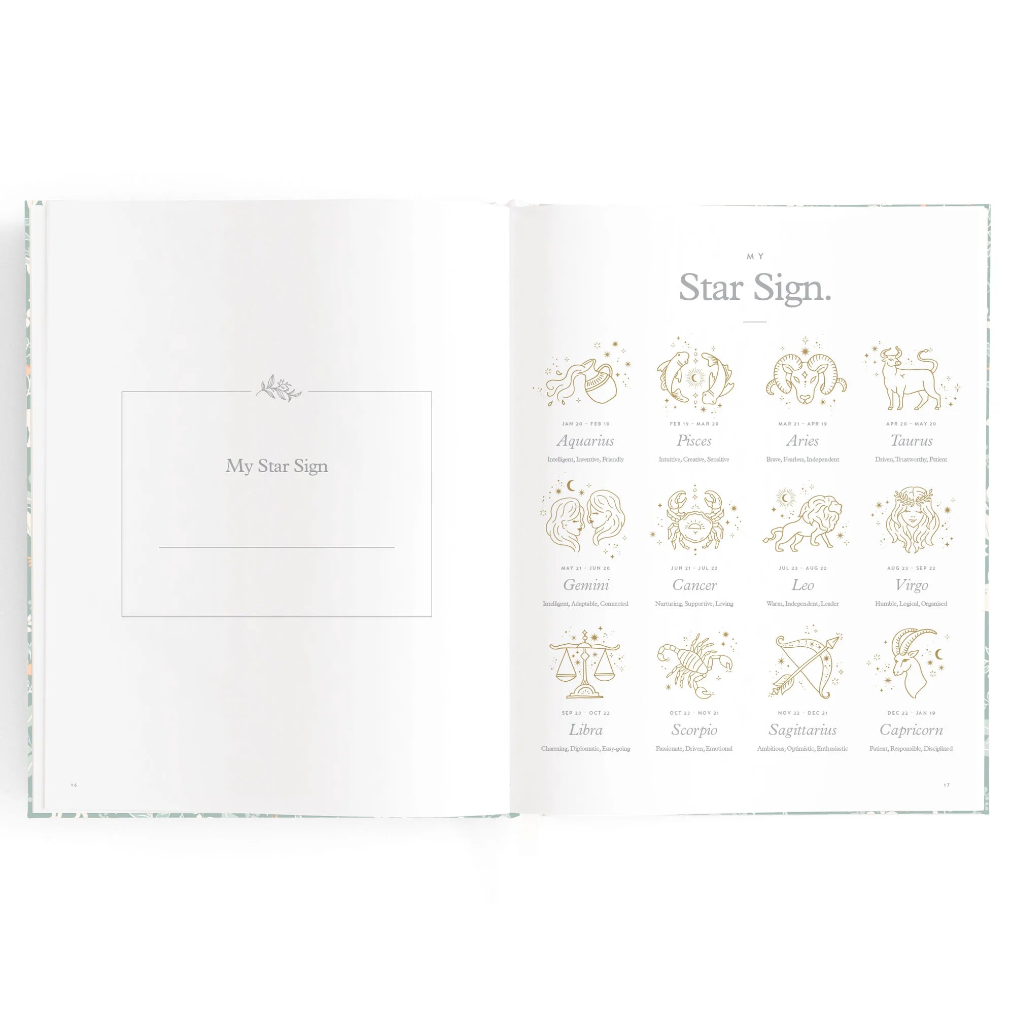 Baby Book Forest Friends Sage - Fox & Fallow