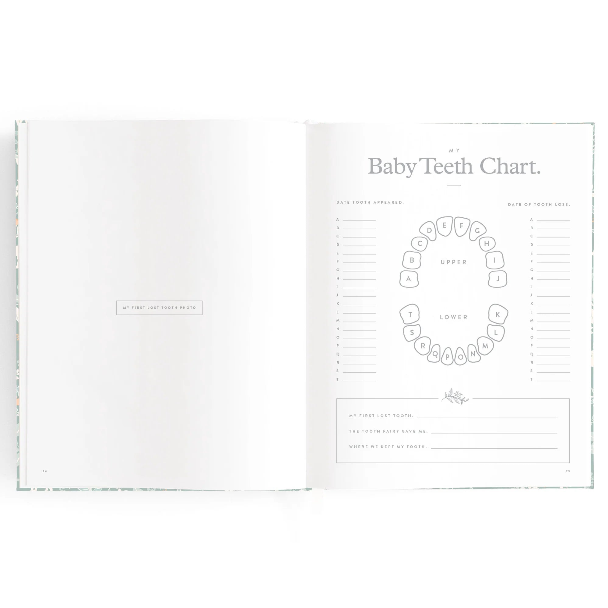 Baby Book Forest Friends Sage - Fox & Fallow