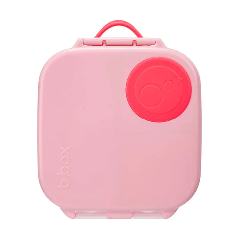 Mini Lunchbox - Flamingo Fizz