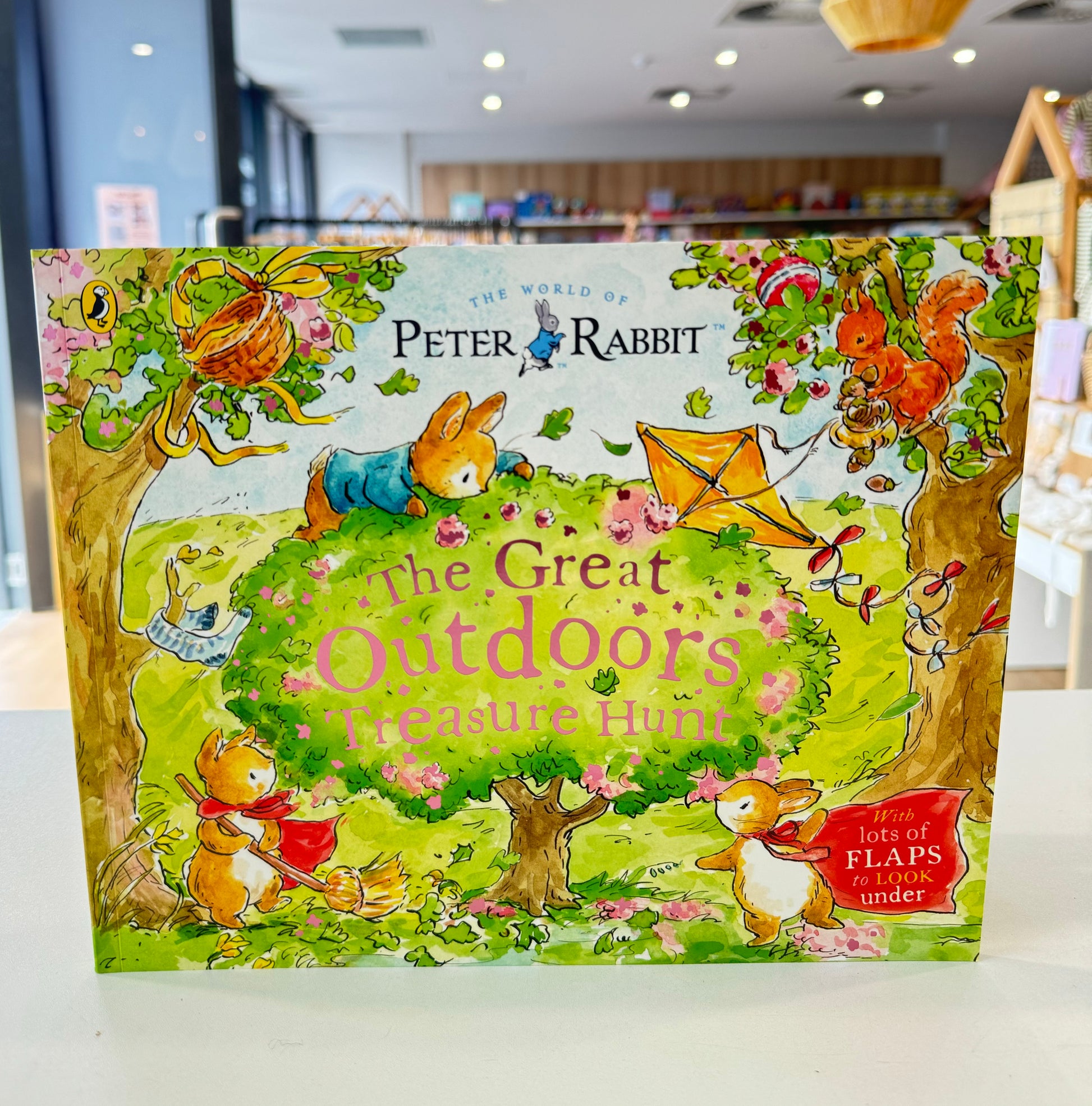 The World of Peter Rabbit: The Great Outdoors Treasure Hunt - Book