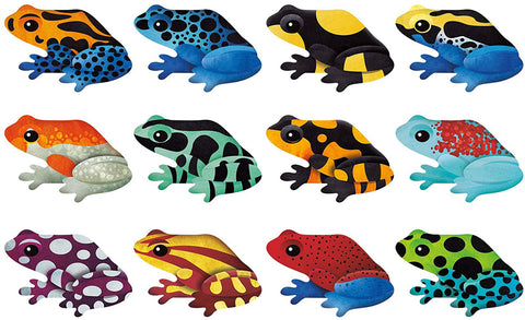 Memory Match - Shaped Frogs - Mudpuppy