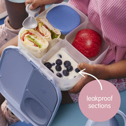 Mini Lunchbox - Chill Out - B Box