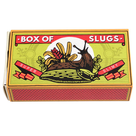 Creepy Crawlies – Box of Two Slimy Slugs - Rex London