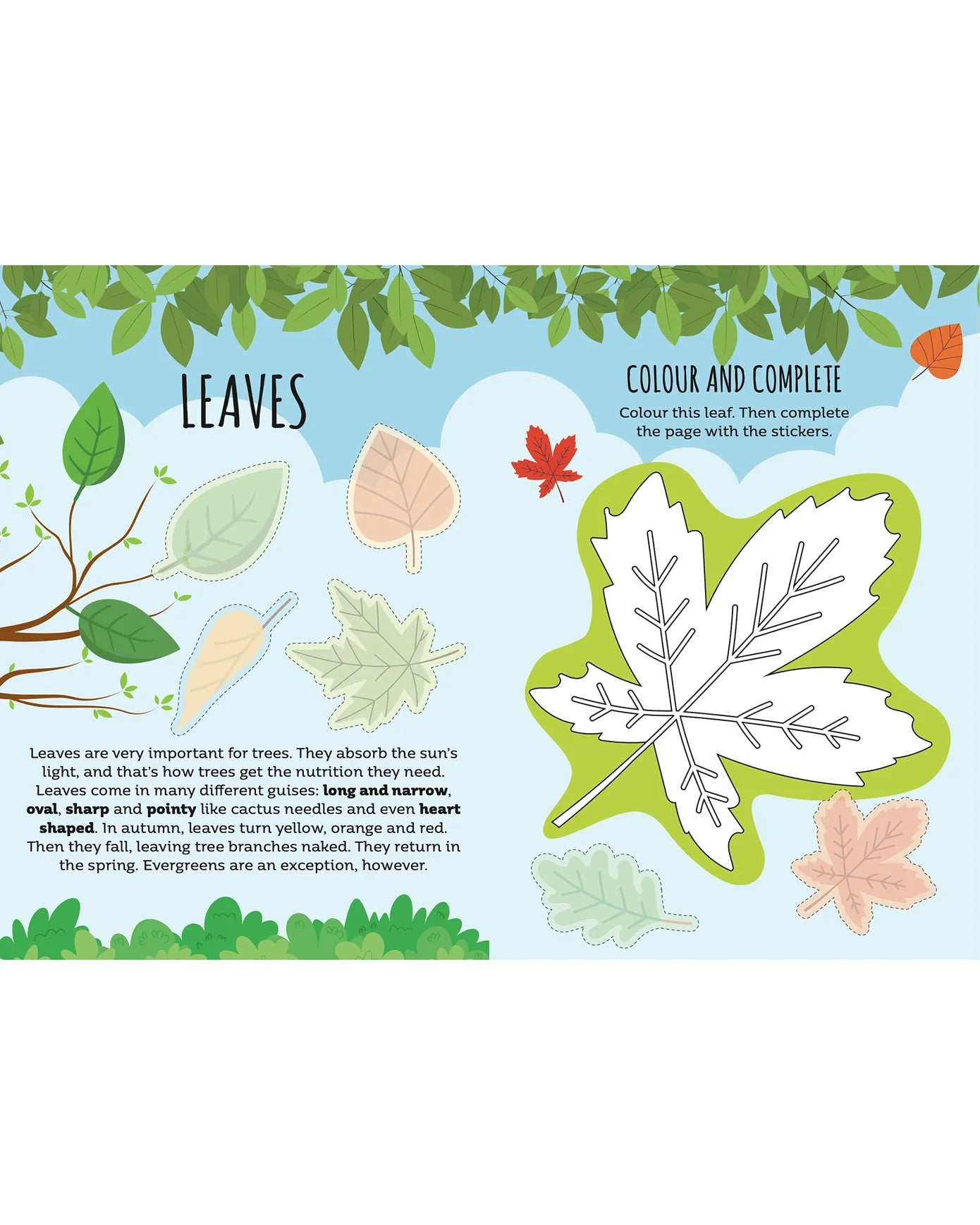 Nature Stickers & Activities Book - Sassi