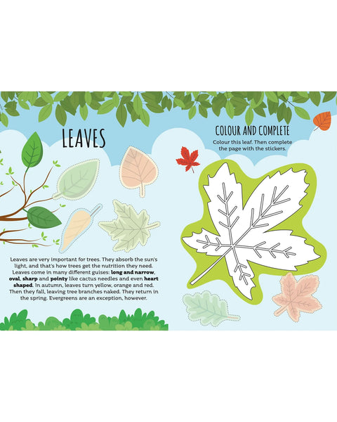 Nature Stickers & Activities Book - Sassi