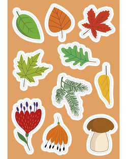 Nature Stickers & Activities Book - Sassi