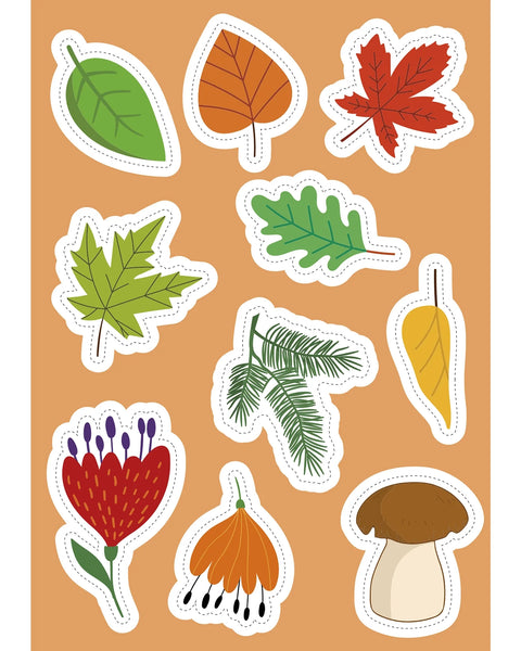 Nature Stickers & Activities Book - Sassi