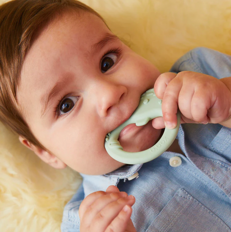 Trio Teether - Sage - B Box
