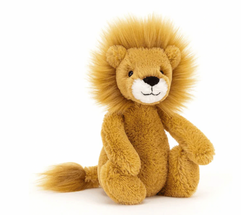 Lion Baby Bundle - Gift Hamper