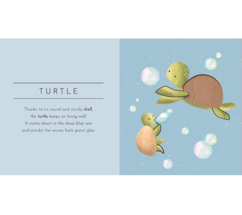 Touch & Feel Animals - Board Book - Sassi