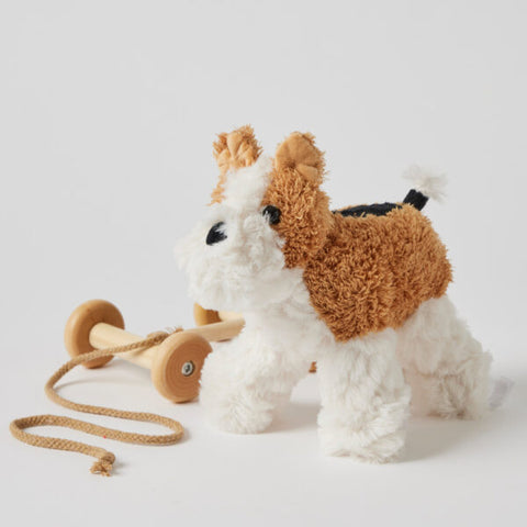 Dog Plush Pull Along - Jiggle & Giggle