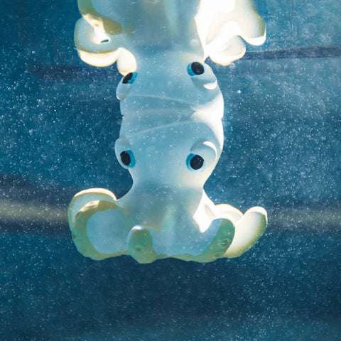 Octopus  - Teether & Bath Toy - Oli & Carol