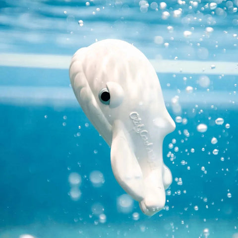 Whale  - Teether & Bath Toy - Oli & Carol