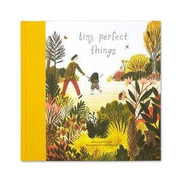 Tiny Perfect Things - Kids Book - Compendium Books