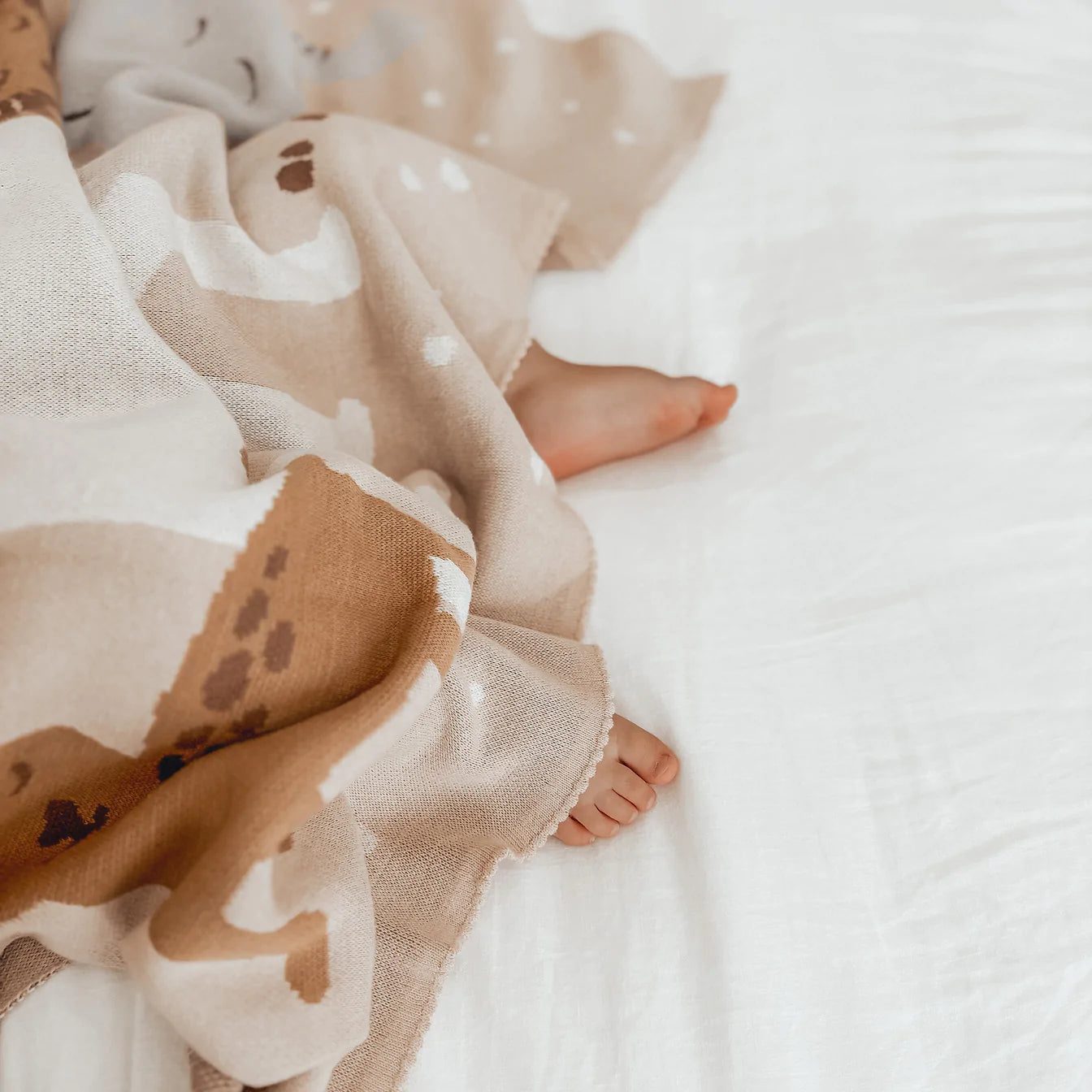 Welcome Party Blanket - Fox and Fallow
