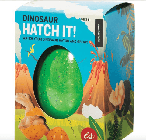 Hatch It! Dinosaur Large  - Is Gift