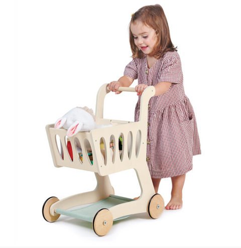 Shopping Cart - Tender Leaf Toys