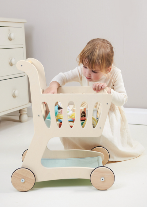 Shopping Cart - Tender Leaf Toys